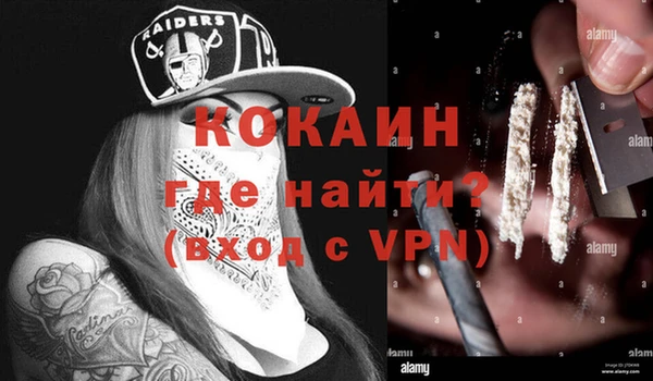 гидра Магас