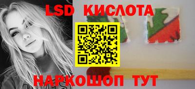 шишки Балашиха