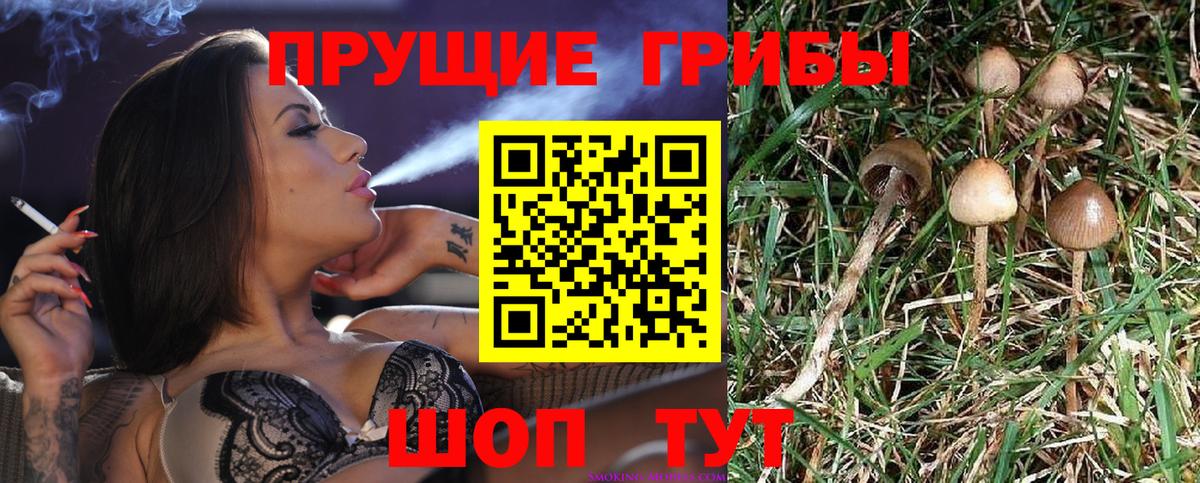 Псилоцибиновые грибы Magic Shrooms Темрюк