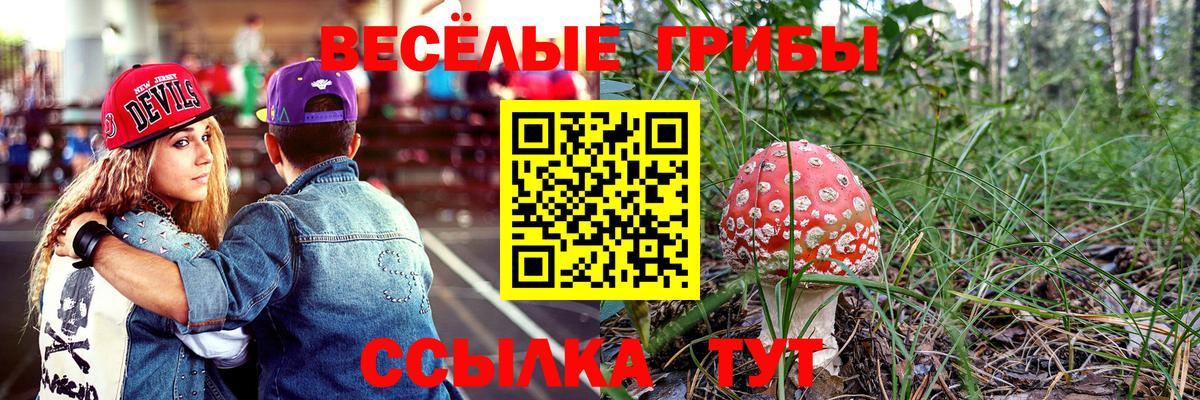 Псилоцибиновые грибы мухоморы Темрюк