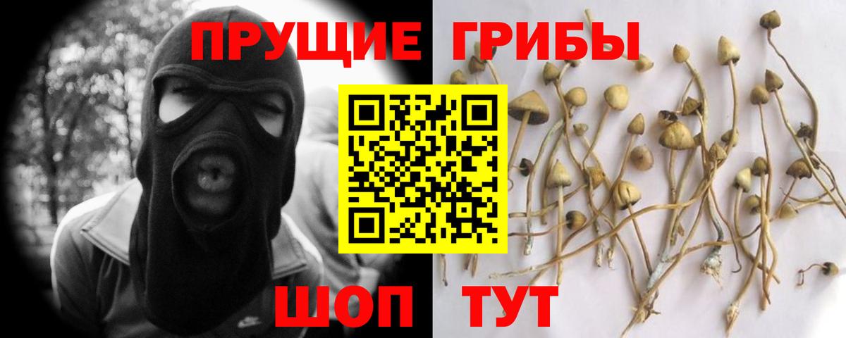 Темрюк  Галлюциногенные грибы Psilocybine cubensis  купить наркоту  Вход с VPN 