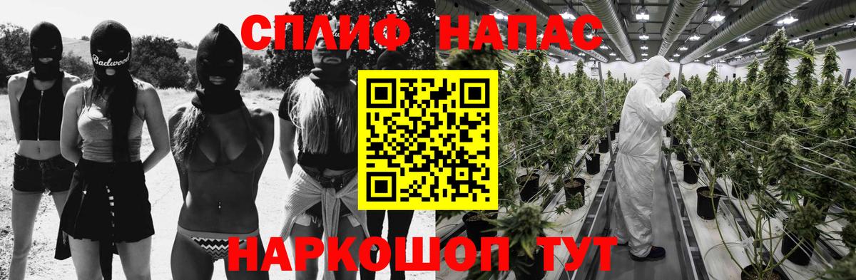 МАРИХУАНА гибрид Темрюк